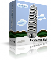 Perspective Pilot