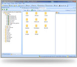 Database Master
